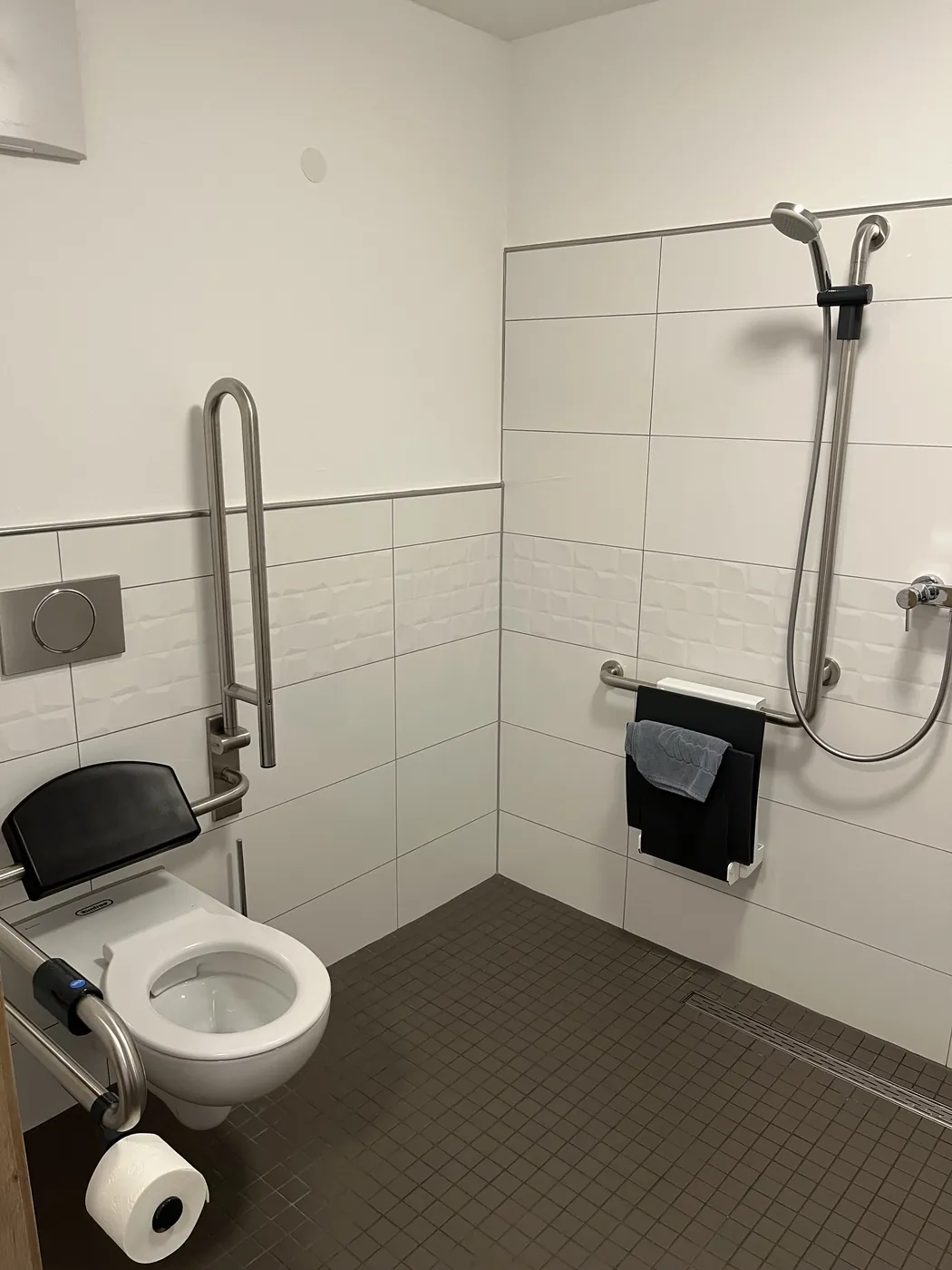 Badezimmer mit bodengleicher Dusche, Haltegriffen an Wand und WC, Klappsitz, Handbrause und Handtuchhalter